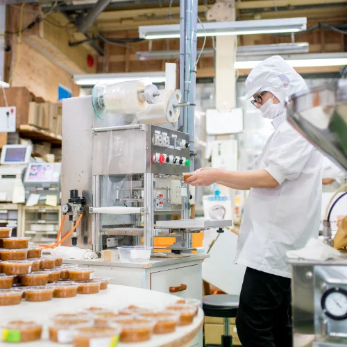 Boiler For Food Industry