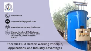 Read more about the article Thermic Fluid Heater: Working Principle, Applications, and Industry Advantages