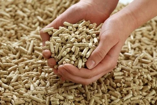 Biomass Pellet Manufacturers